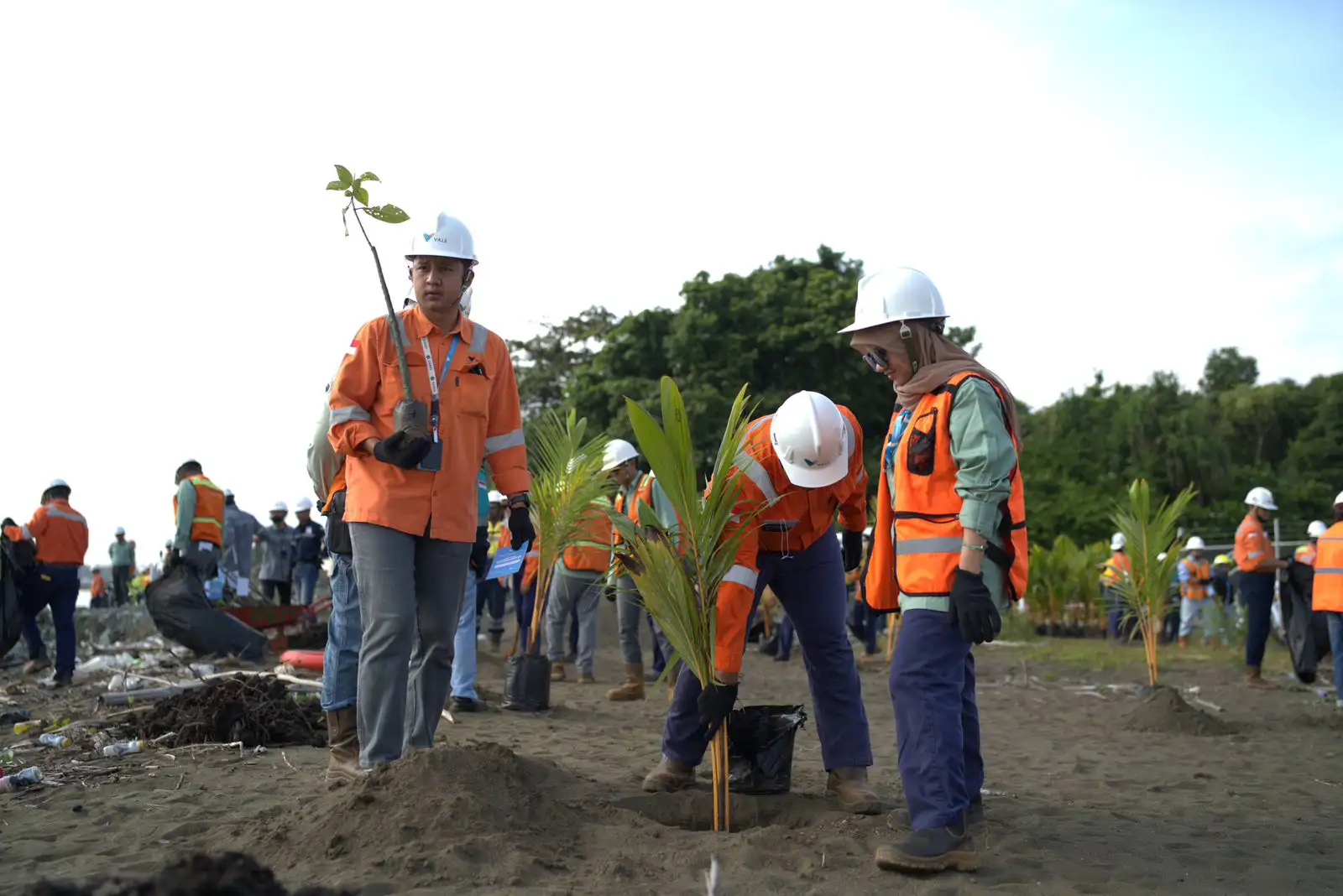 PT Vale Tanam Ratusan Pohon dan Bersihkan Pantai di Morowali, Tegaskan Komitmen Hijau Hari Bumi 2026