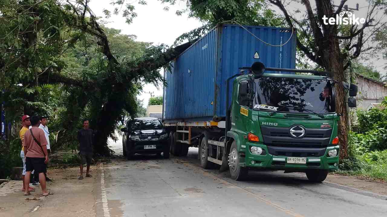 Truk Kontainer Tabrak Pohon hingga Tumbang di Kendari Usai Hindari Minibus Hilang Kendali