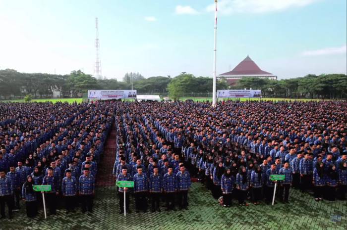 Update Rekrutmen CPNS 2026, Cek Kembali Syarat dan Tahapan hingga Dokumen Wajibnya