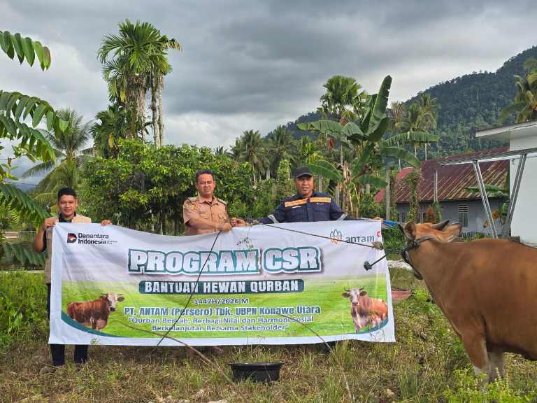 ANTAM UBPN Konawe Utara Distribusikan 26 Sapi Kurban ke Masyarakat dan Mitra Perusahaan