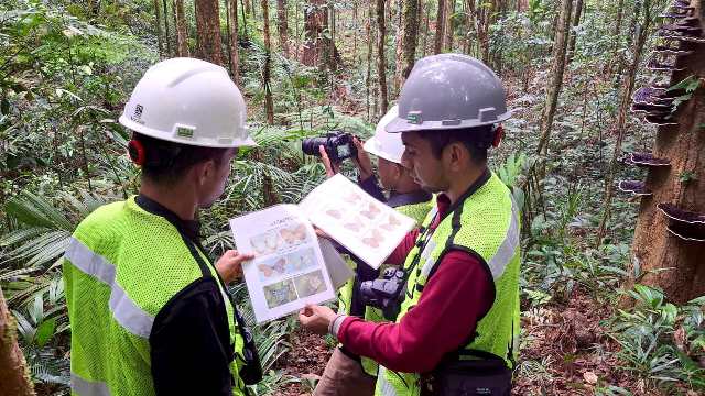 Kolaborasi Riset PT GKP Catat Temuan Spesies Baru di Pulau Wawonii