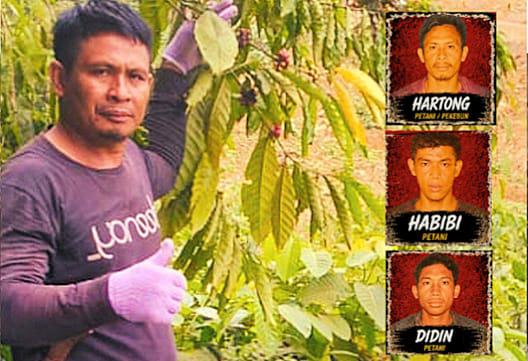Pertahankan Tanah dari Tambang PT SCM, Tiga Petani Routa Konawe Malah Dipenjara
