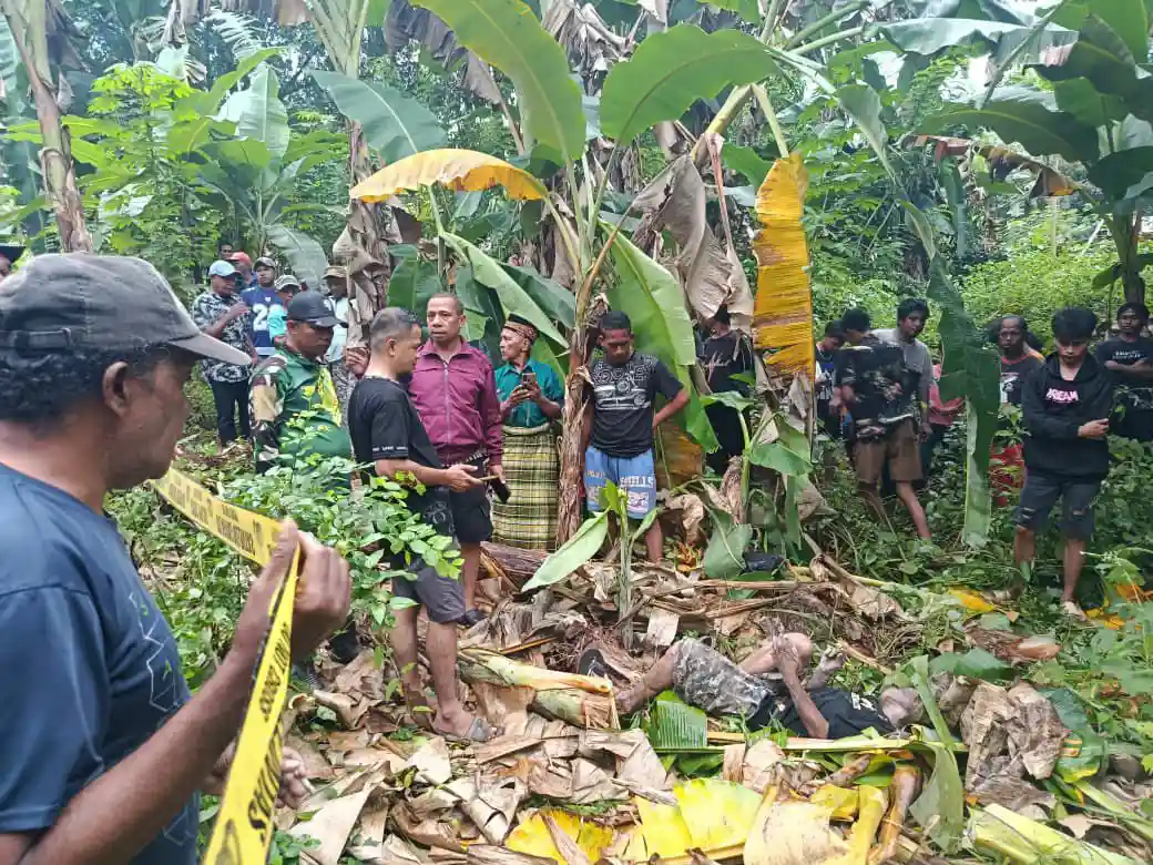 Viral di Medsos, Warga Buton Tewas Tertimpa Pohon Pisang saat Menebang