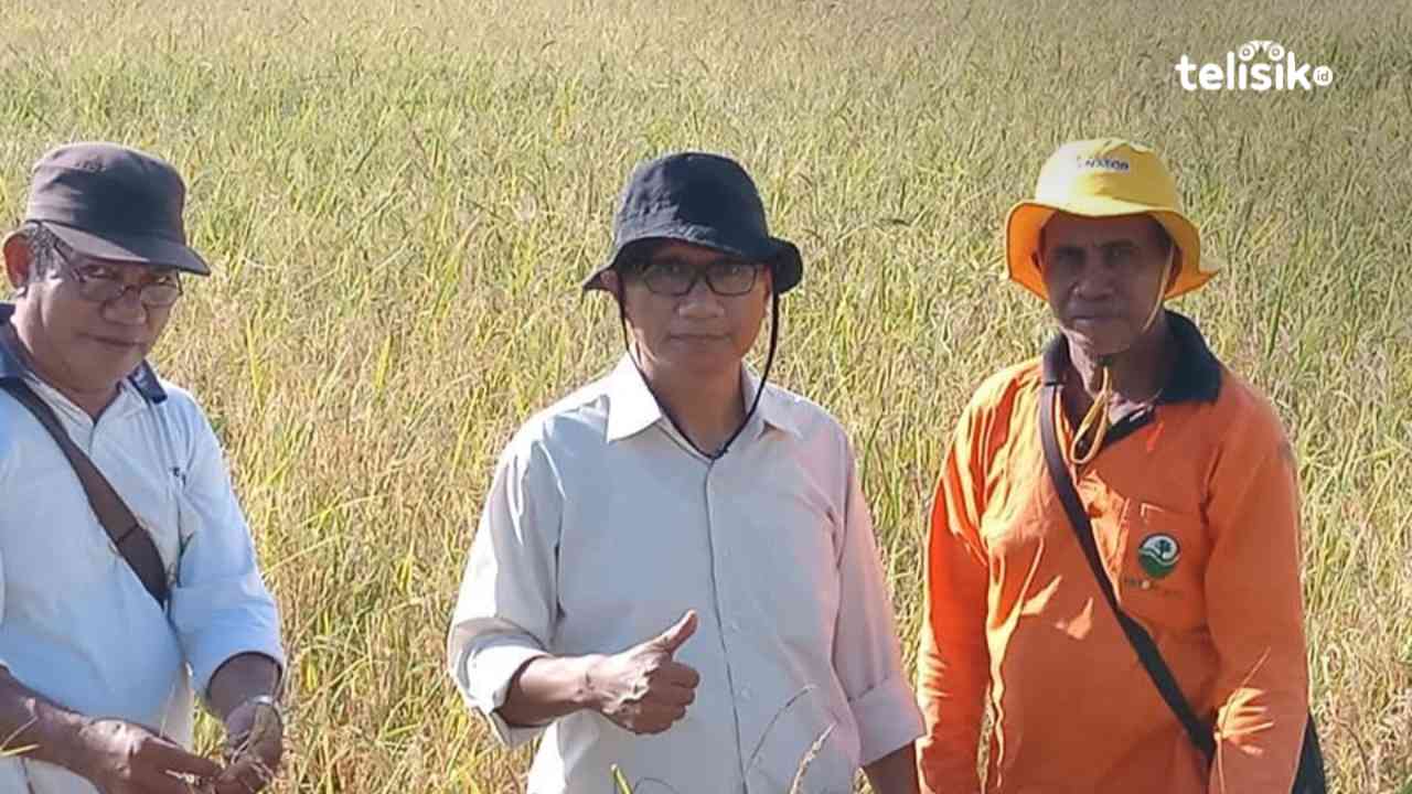 Jumlah Konsumsi Beras di Muna 94,75 Kg per Kapita Tiap Tahun, Swasemba Butuh 6.500 Hektare Lahan