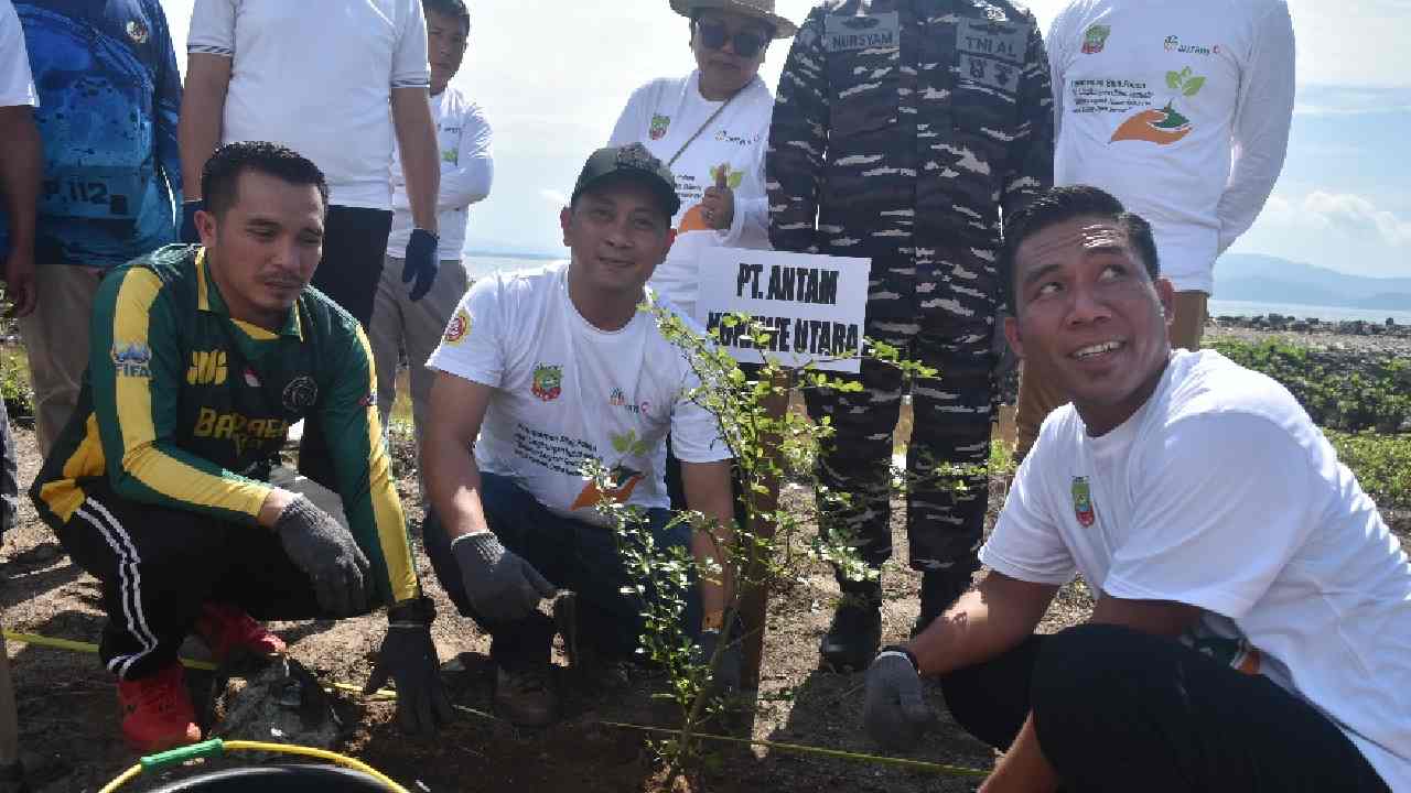 ANTAM UBPN Konawe Utara Perkuat Komitmen Lingkungan Hijau, 300 Bibit Pohon Ditanam Bersama Pemerintah dan Warga