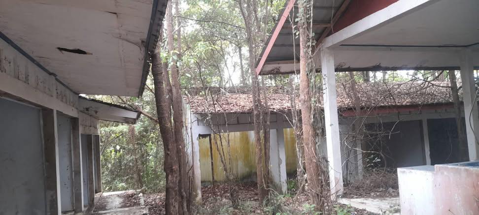 Mistik: Kejadian Horor di Pasar Tradisional, Teror Bayangan Hitam Muncul Disertai Bau Aneh dan Dagangan Mendadak Busuk