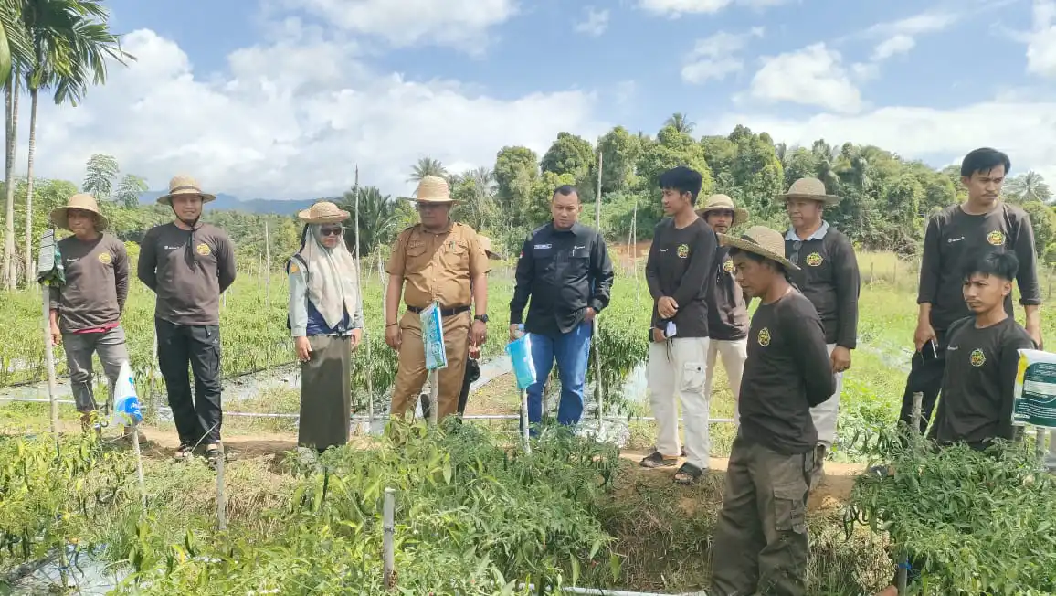 Program ANTAM di Konawe Utara Ubah Pekarangan Warga Mowundo jadi Sumber Pangan Berkelanjutan