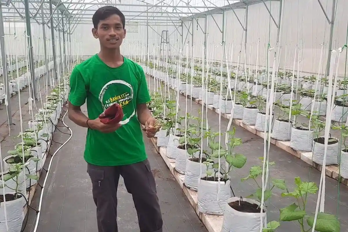 Agrowisata California Buka Lowongan Kerja, Cari Petugas Kebersihan Kebun dan Bartender