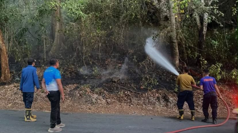 El Nino Picu Kebakaran Lahan pada 8 Lokasi di Baubau