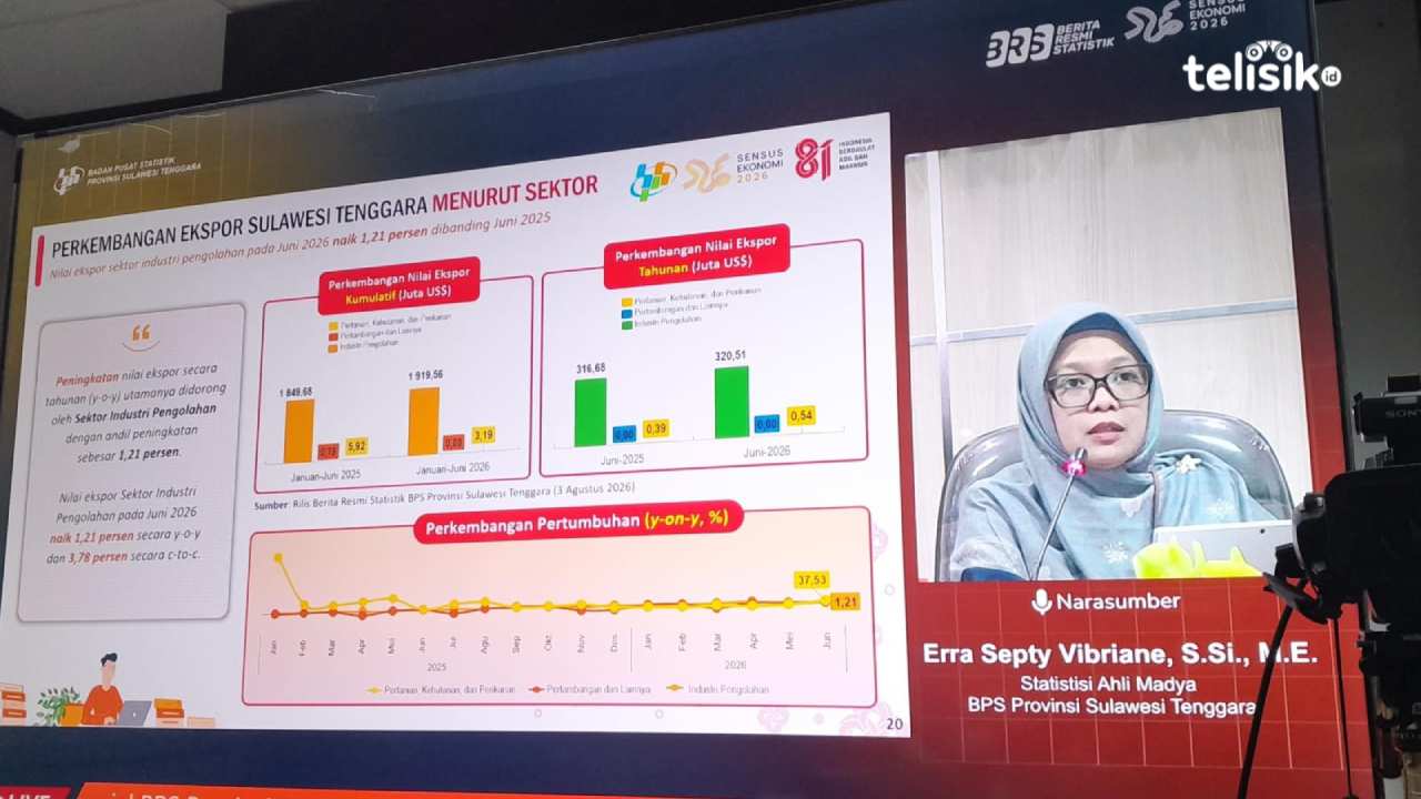 Neraca Perdagangan Sulawesi Tenggara Defisit 9,24 Juta US Dolar di Juni 2026, Ini Penyebabnya