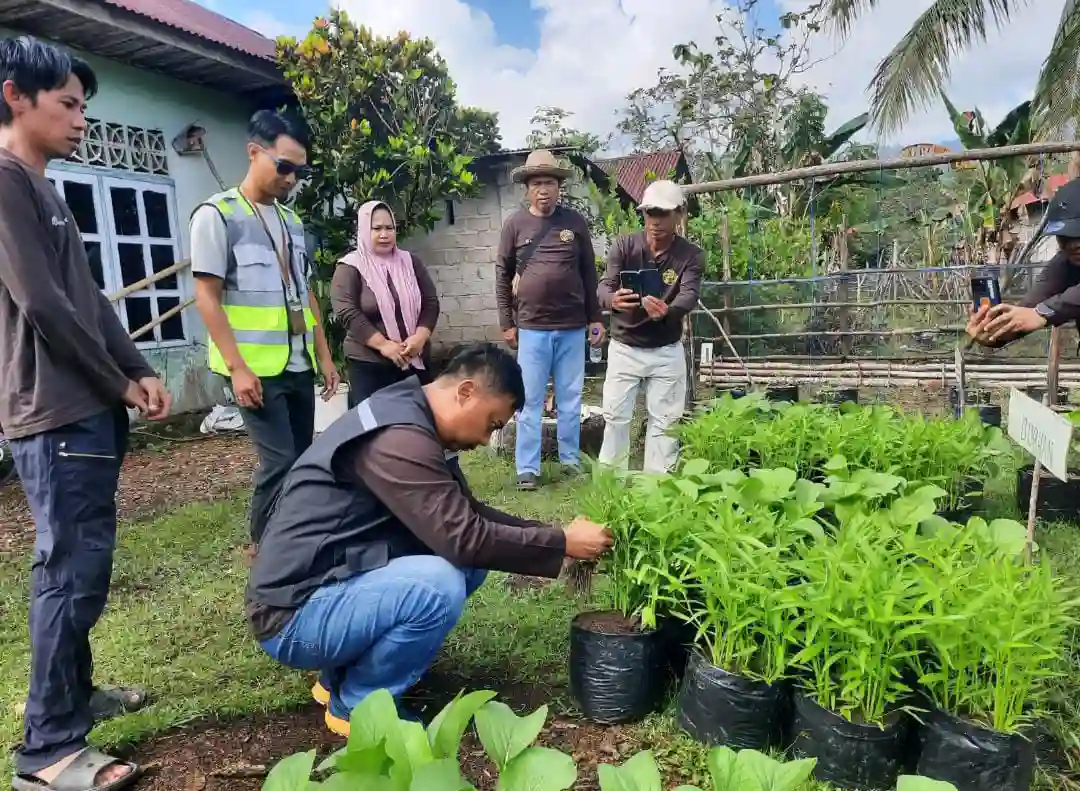 Panen Perdana Program Mandiri Pangan ANTAM UBPN Konawe Utara, Wujud Ketahanan Pangan Berbasis Masyarakat