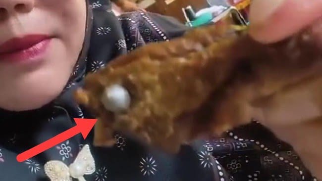 Viral Menu MBG Siswa SD Ditemukan Peluru, Begini Nasib Dapurnya