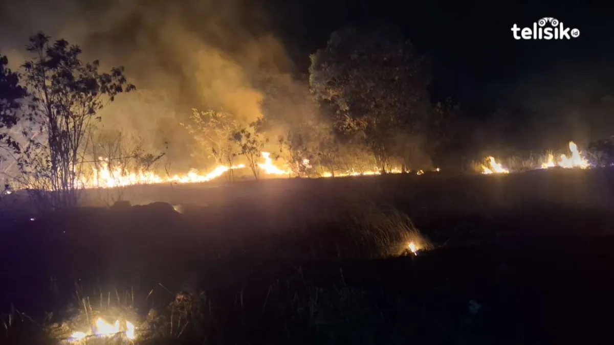 Api Membesar dalam 5 Menit Kembali Membakar Lahan 200 Meter Dekat Rusun Samudera Kendari