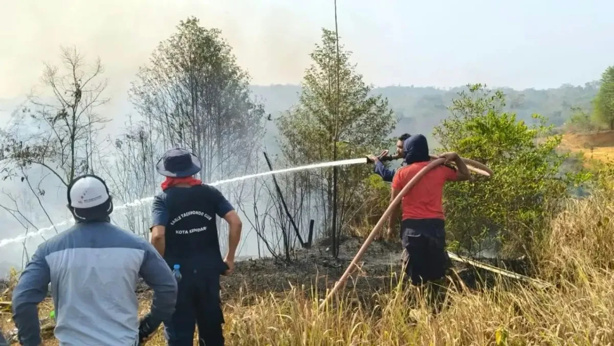 154 Kejadian, Kebakaran Lahan Dominasi Kasus di Kendari